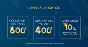 Chính sách bán hàng Sunshine Sky Cit